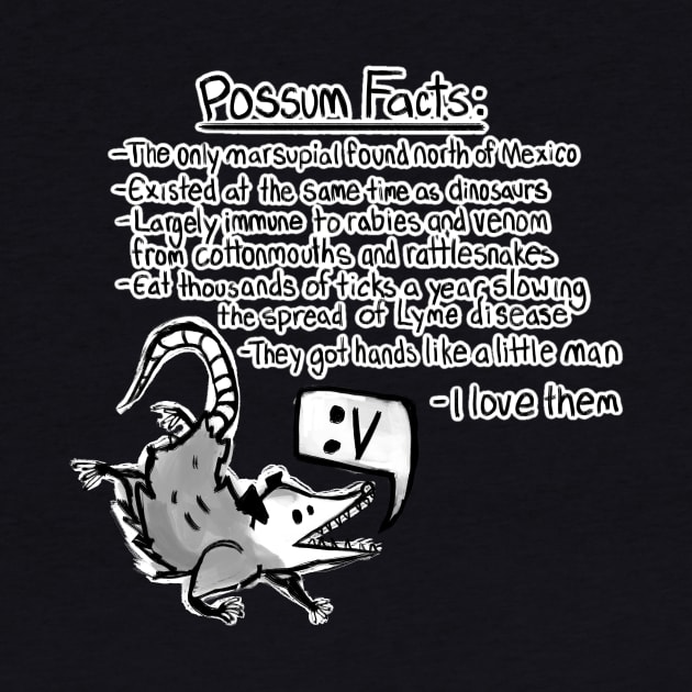 Possum facts by Elliot HT Art